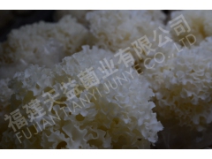 供应绣球菌鲜，干品图1