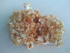 供应绣球菌鲜，干品图2