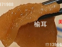 榆耳批发 榆耳销售 自产自销榆耳 支持少量 榆耳批发零售图2