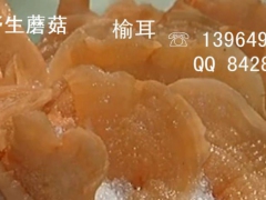 榆耳批发 榆耳销售 自产自销榆耳 支持少量 榆耳批发零售图1