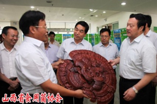 山西省委副書記金道銘調(diào)研山西農(nóng)業(yè)大學(xué)食藥用菌發(fā)展 ()
