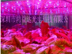 新型虫草led补光灯图2