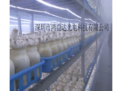 新型虫草led补光灯图3