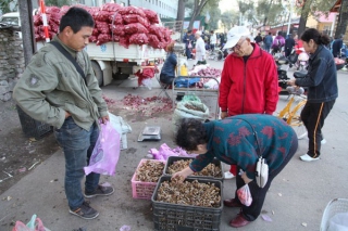 扎蘭屯市野生蘑菇讓農(nóng)民賺了大錢(qián) ()