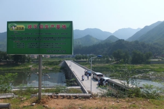西峽縣鄉(xiāng)食用菌領(lǐng)導(dǎo)團(tuán)考察歡樂(lè)菇生產(chǎn)基地 ()