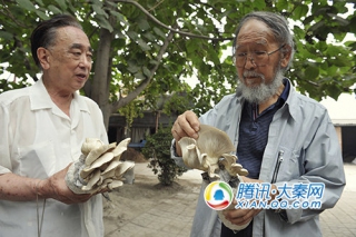 張樹(shù)庭教授到西安進(jìn)行食用菌技術(shù)交流 ()