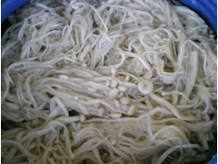 供应盐渍白金针菇图1