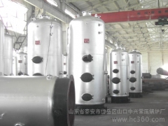 燃煤灭菌锅炉/安徽湖南湖北江苏食用菌养殖杀菌蒸汽锅炉图3