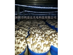 食用菌专用节能LED灯；组培补光LED灯图2