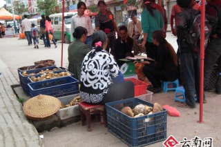 野生菌助通甸農(nóng)民增收 ()