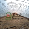 各种种植、养殖、食用菌温室大棚建设