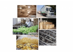 供应大量食用菌产品 量大从优图1