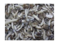 优质小平菇盐渍品图3