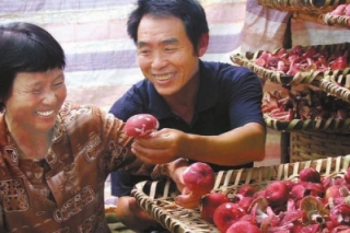 大田縣盂坂村種植紅菇年產(chǎn)百萬(wàn) ()
