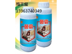 优质食用菌专用菌霸图1