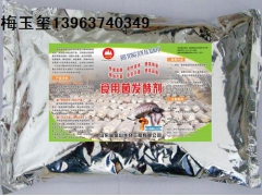 优质高产食用菌发酵剂　　　图1