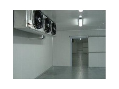 湖北1000立方香菇保鲜库安装建造图1