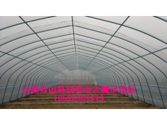 抗压好的温室大棚骨架 大棚报价 大棚骨架机图1