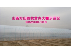 抗压好的温室大棚骨架 大棚报价 大棚骨架机图3