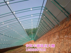 新型塑料大棚骨架 蘑菇大棚种植技术 大棚造价图3