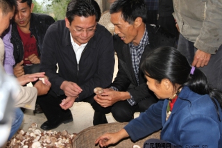 廣元朝天區(qū)委書記蔡邦銀調(diào)研梧桐村食用菌產(chǎn)業(yè)發(fā)展情況 ()