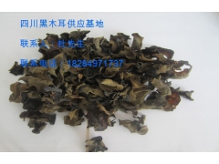 四川黑木耳生产基地，供应四川黑木耳图1