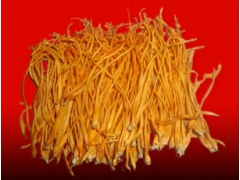 沈阳乾翔食用菌、虫草、虫草花种植基地图1