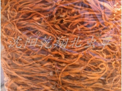 沈阳乾翔食用菌、虫草、虫草花种植基地图2