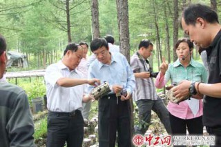 張亞華：讓新青黑木耳產(chǎn)業(yè)帶富職工 ()