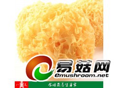 大量供应银耳等干货图1