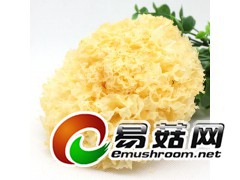 大量供应银耳等干货图2