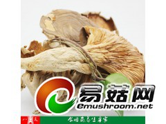 大量出售干货鲍鱼菇图1