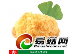 大量供应干货银耳图1