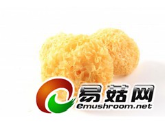 大量供应干货银耳图2