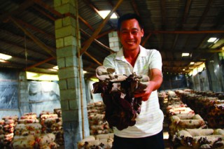 蔣遠(yuǎn)輝：種植食用菌帶領(lǐng)村民脫貧 ()