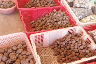 野生菌即將下市   松露價格上漲 ()