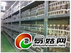 食用菌移动培养床及架图1