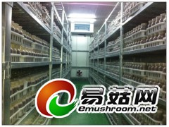 食用菌移动培养床及架图2