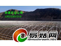 钢管镀塑大棚骨架销售，热镀锌带管大棚产品价格图1