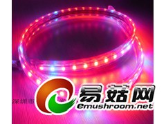 中药石斛种植专配LED灯/药用菌LED生长灯图2
