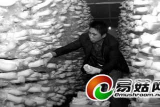 秸稈栽培食用菌變廢為寶巧致富 ()