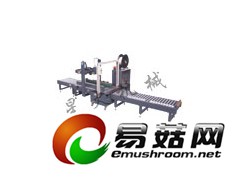 安徽合肥打包机|低台自动封箱捆扎生产线图1