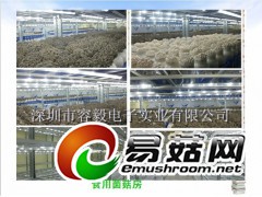 LED食用菌补光灯 蟹味菇生长灯 白玉菇生长灯 海鲜菇生长灯图3