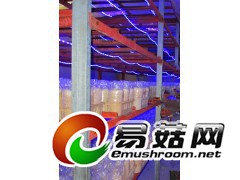 食用菌LED灯 专用灯 食用菌补光灯 食用菌光照灯 食用菌灯图1
