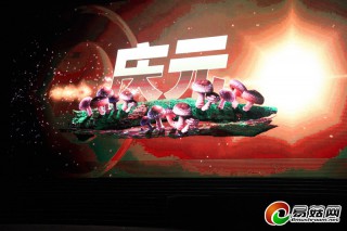 “尋夢菇鄉(xiāng)”大型多媒體音舞詩畫晚會在慶元上演 ()