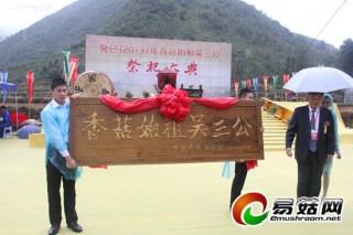 尋夢菇鄉(xiāng)：吳三公祭祀大典 ()