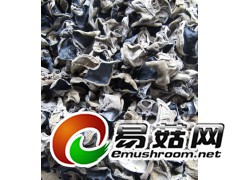 黑龙江森华园大森林食品公司原生态东北特产森华源黑木耳图3