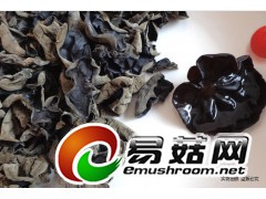 黑龙江大森林食品公司东北特产原生态有机黑木耳图1