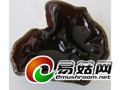 森华源纯绿色无添加大森林食品批发哈尔滨野生有机黑木耳图2