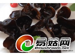 哪里批发食用菌最便宜 大森林食品图2